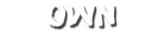 the word OWN